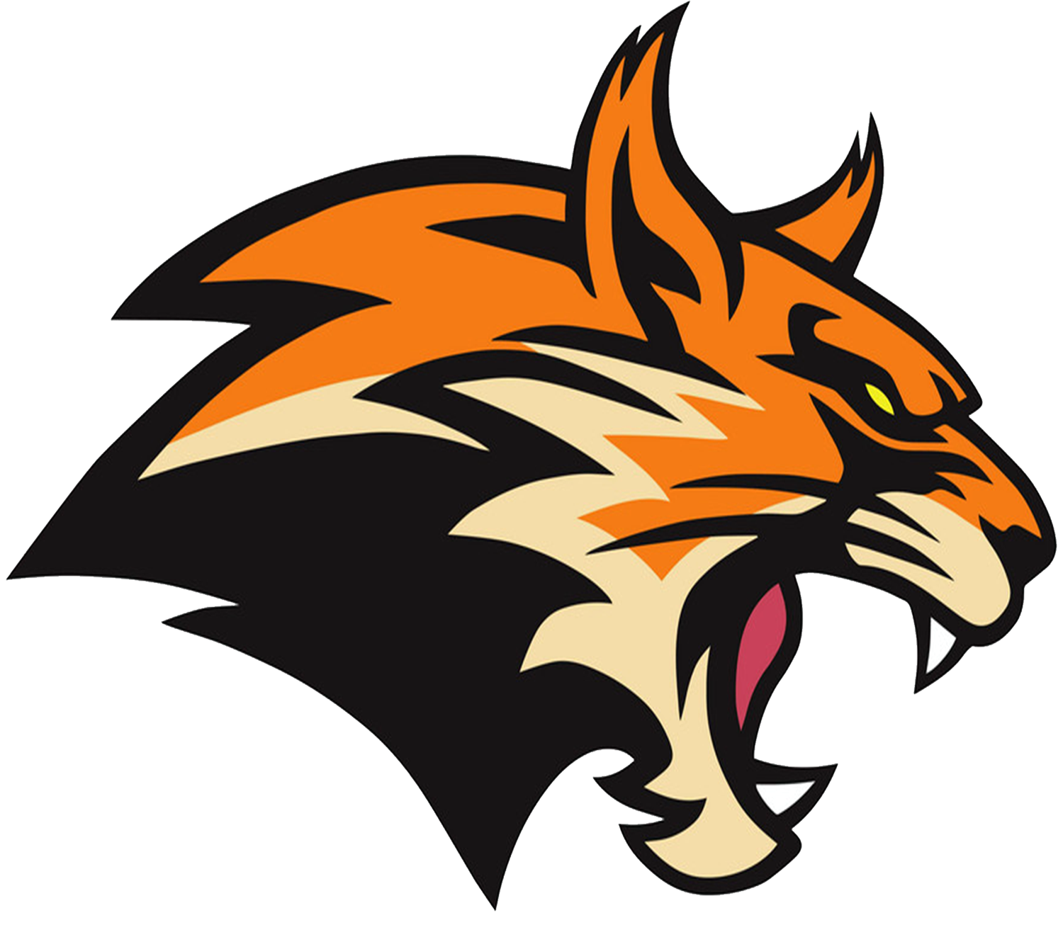 AUTO - RIS ĐUROVIĆ DOO